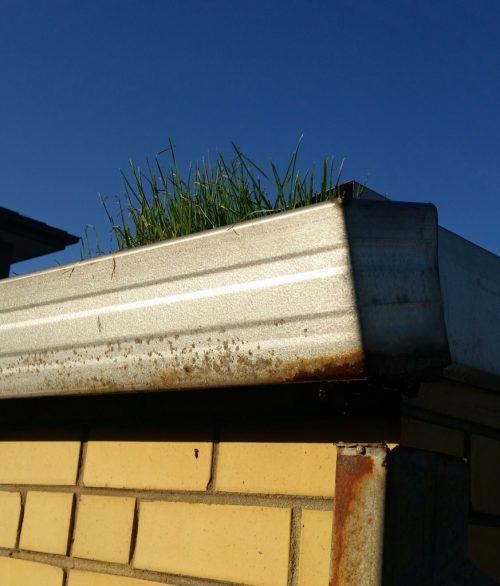 Outdoor Plumbing